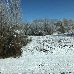 Meet your Posher, Alonda